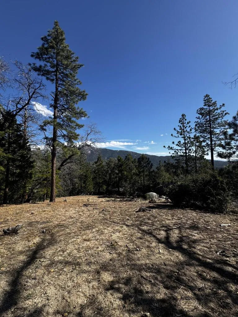 25327 Scenic View Drive Idyllwild, CA 92549