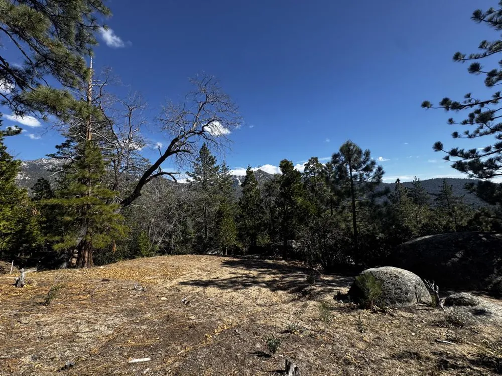 25327 Scenic View Drive Idyllwild, CA 92549