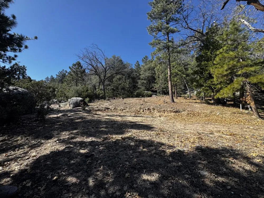 25327 Scenic View Drive Idyllwild, CA 92549