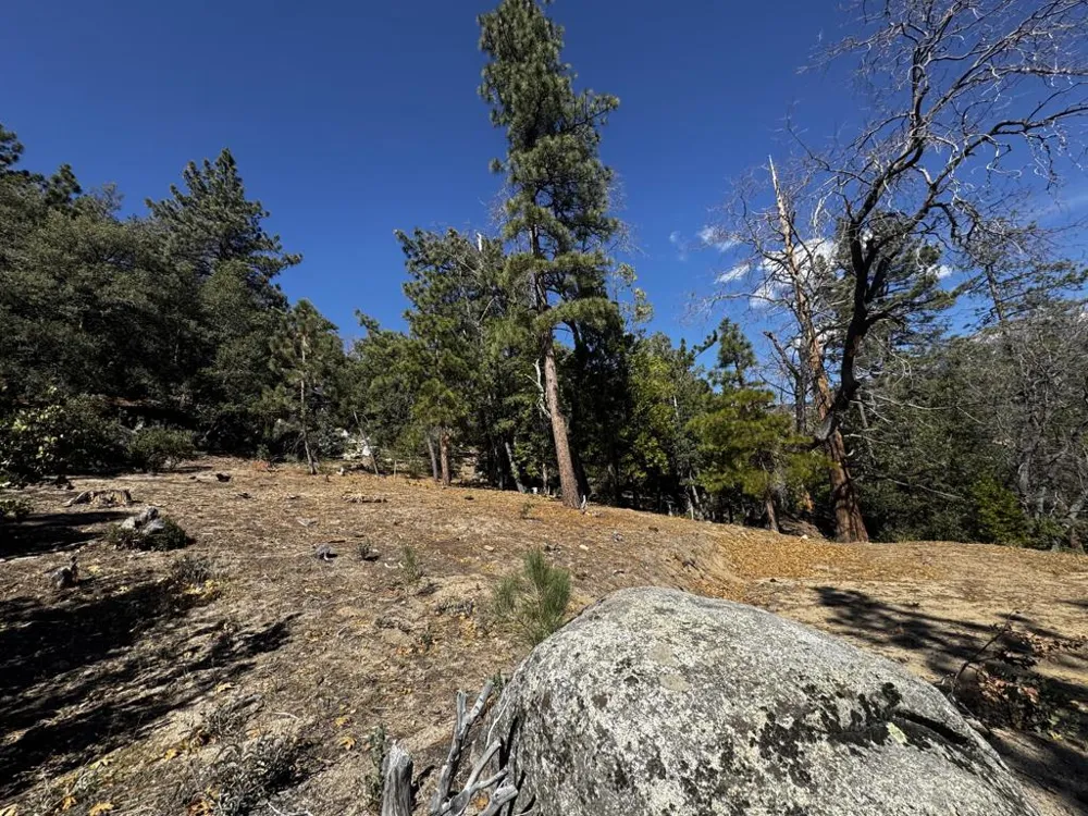 25327 Scenic View Drive Idyllwild, CA 92549
