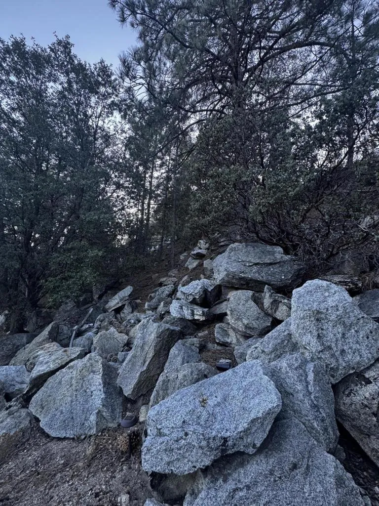 25327 Scenic View Drive Idyllwild, CA 92549