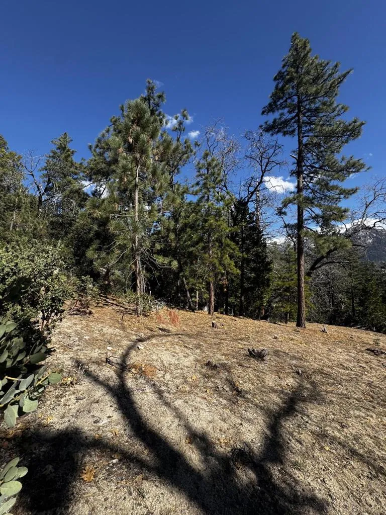 25327 Scenic View Drive Idyllwild, CA 92549