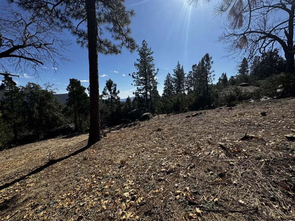 25327 Scenic View Drive Idyllwild, CA 92549