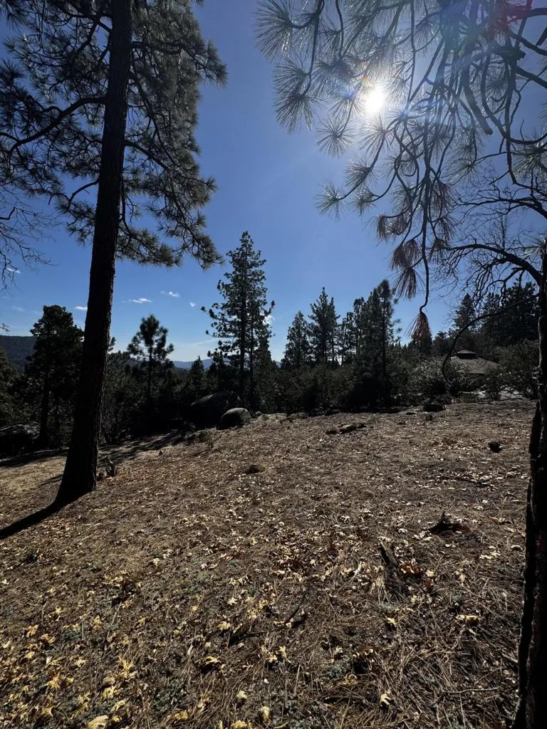 25327 Scenic View Drive Idyllwild, CA 92549