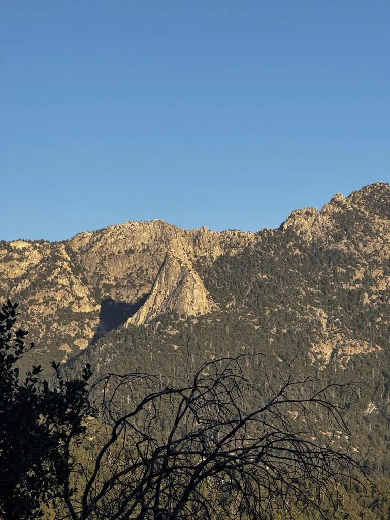 25327 Scenic View Drive Idyllwild, CA 92549