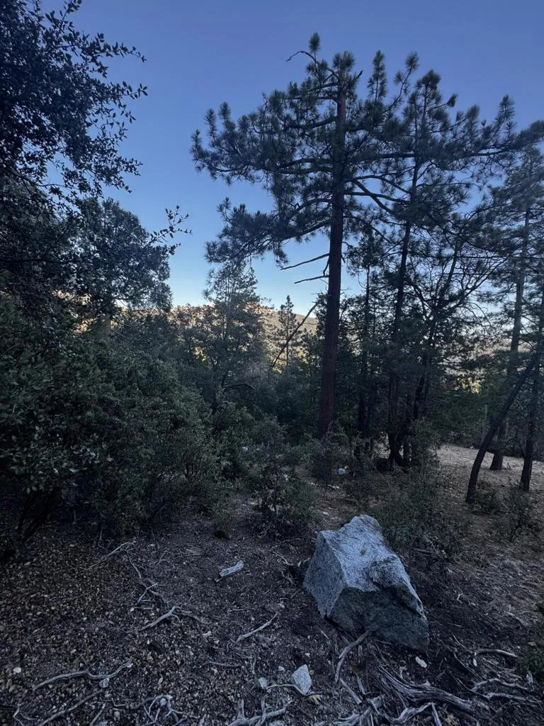 25327 Scenic View Drive Idyllwild, CA 92549