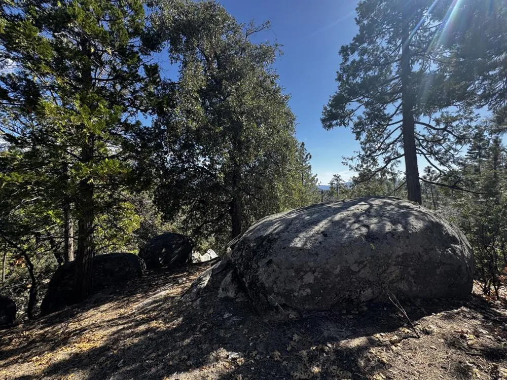 25327 Scenic View Drive Idyllwild, CA 92549