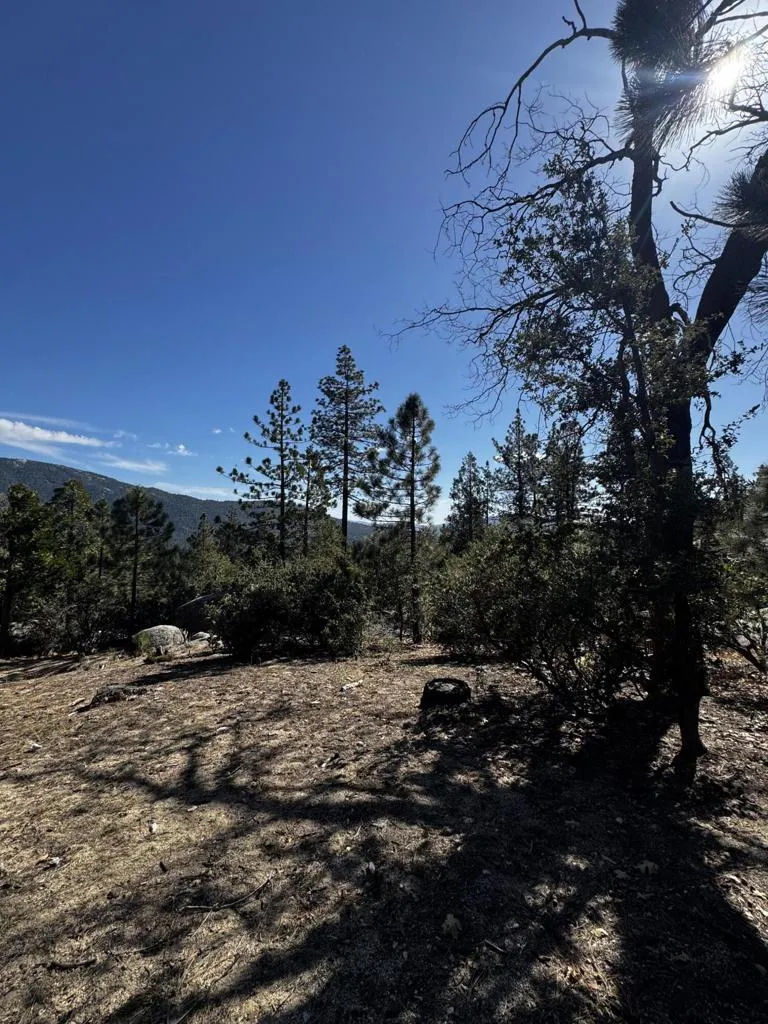 25327 Scenic View Drive Idyllwild, CA 92549