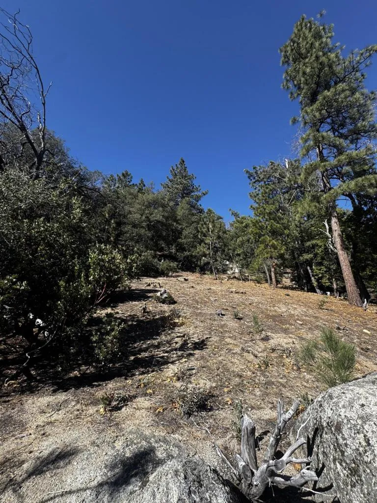 25327 Scenic View Drive Idyllwild, CA 92549