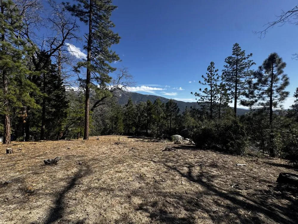 25327 Scenic View Drive Idyllwild, CA 92549