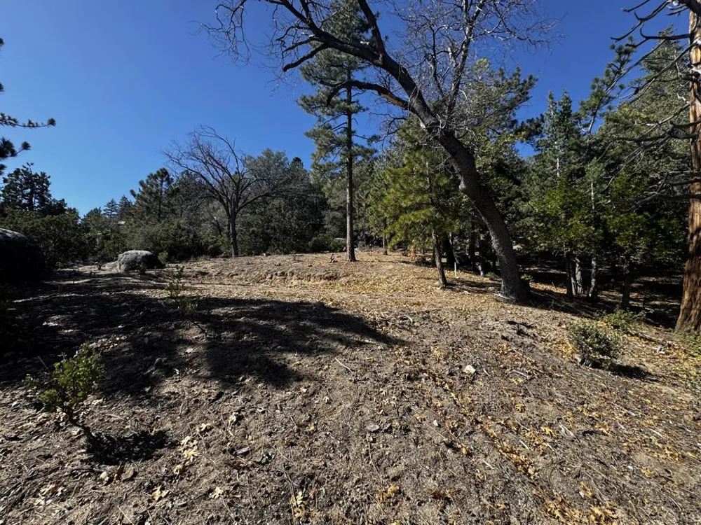 25327 Scenic View Drive Idyllwild, CA 92549