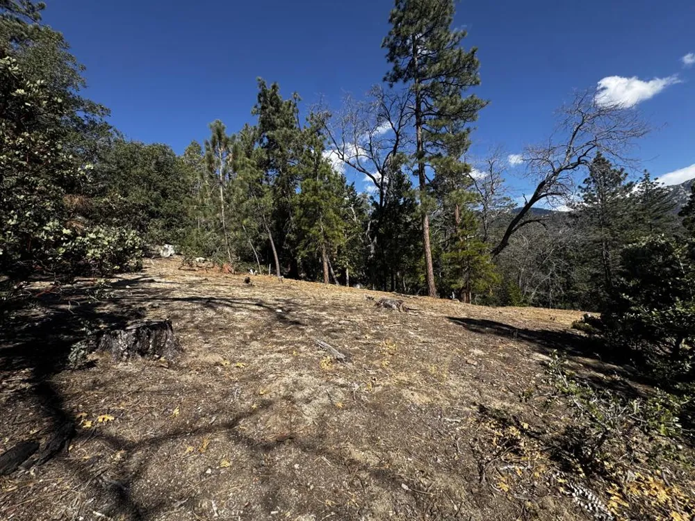 25327 Scenic View Drive Idyllwild, CA 92549