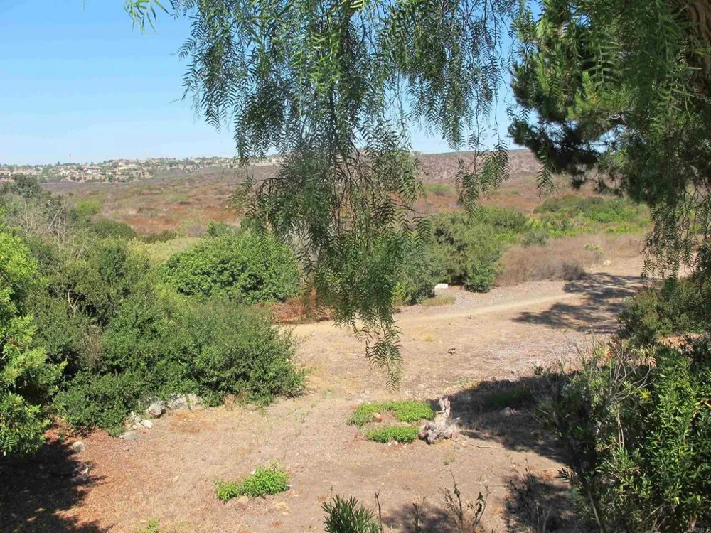 7245 Carpa Court Carlsbad, CA 92009