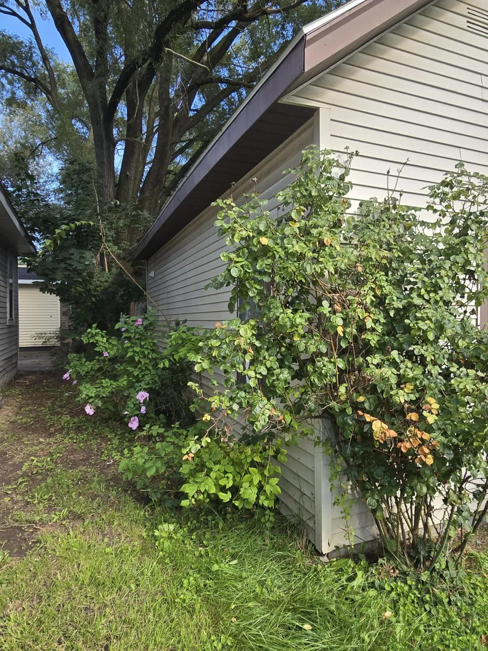 1918 Franklin Street Muskegon, MI 49441