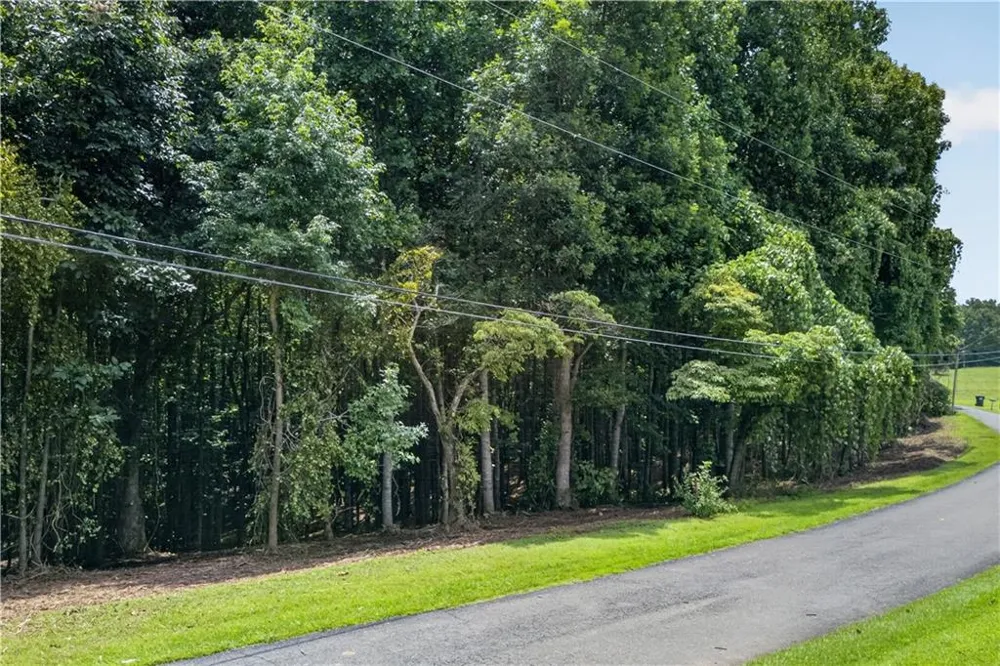 0 Henry Turner Trail Ball Ground, GA 30107