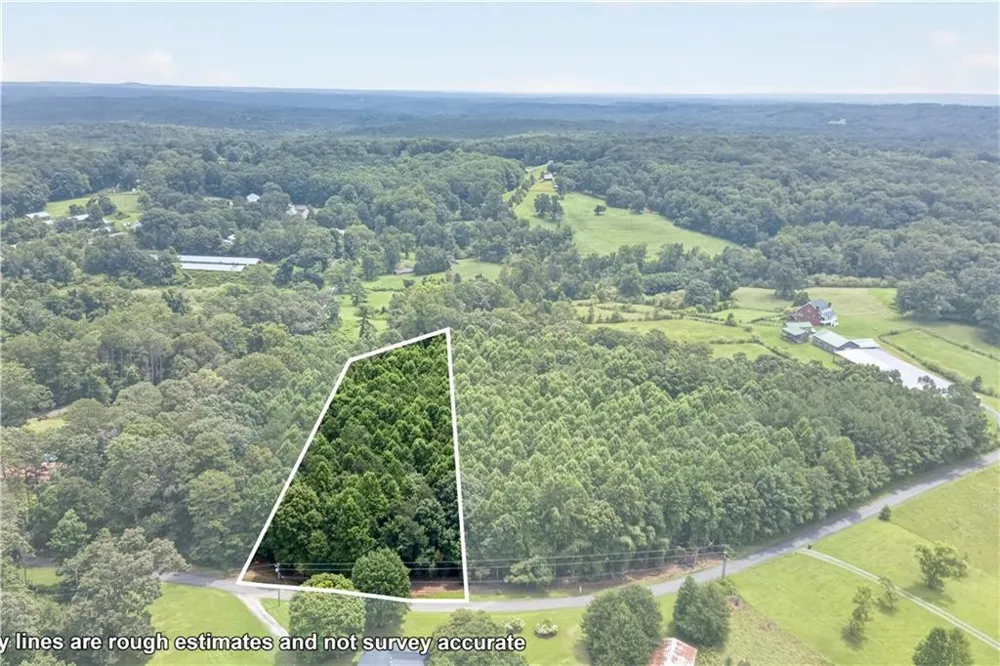 0 Henry Turner Trail Ball Ground, GA 30107