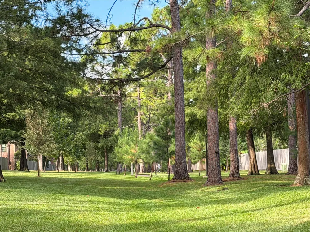 4010 Raven River Drive Pasadena, TX 77059