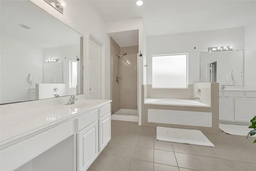21406 Snow Goose Court Spring, TX 77388