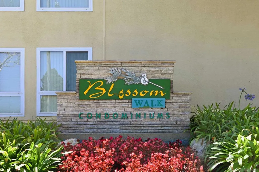 6555 Mount Ada Rd. ##117 San Diego, CA 92111