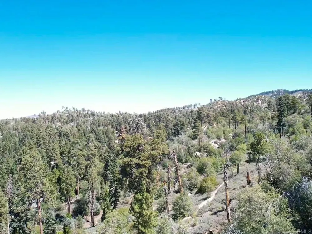 San Antonio Drive Green Valley Lake, CA 92341