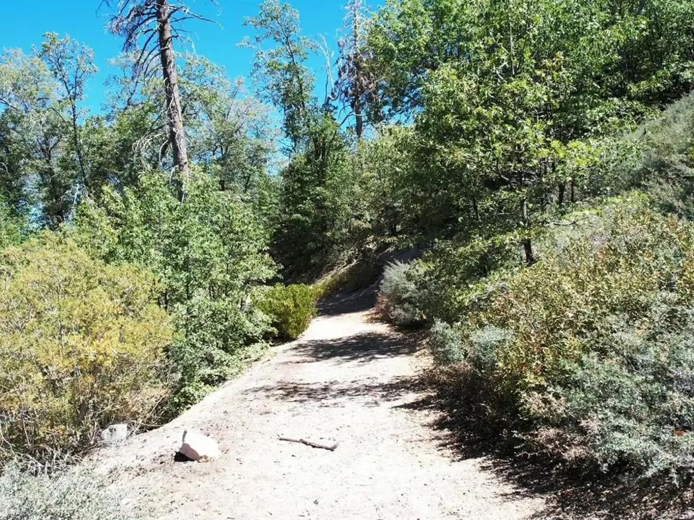 San Antonio Drive Green Valley Lake, CA 92341