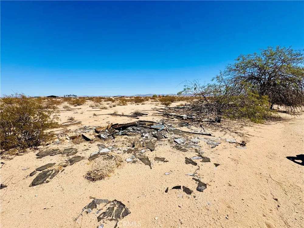 Mile square rd Joshua Tree, CA 92252