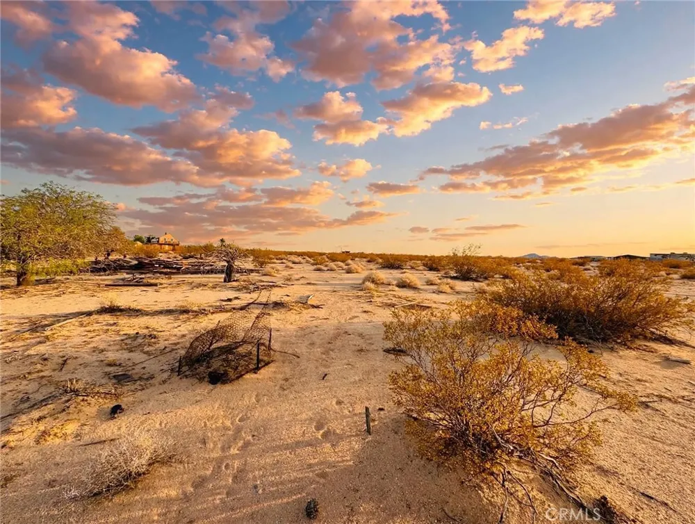 Mile square rd Joshua Tree, CA 92252