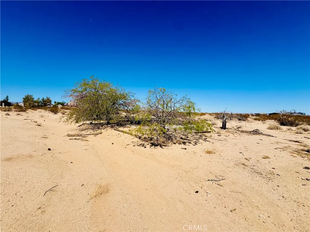 Mile square rd Joshua Tree, CA 92252