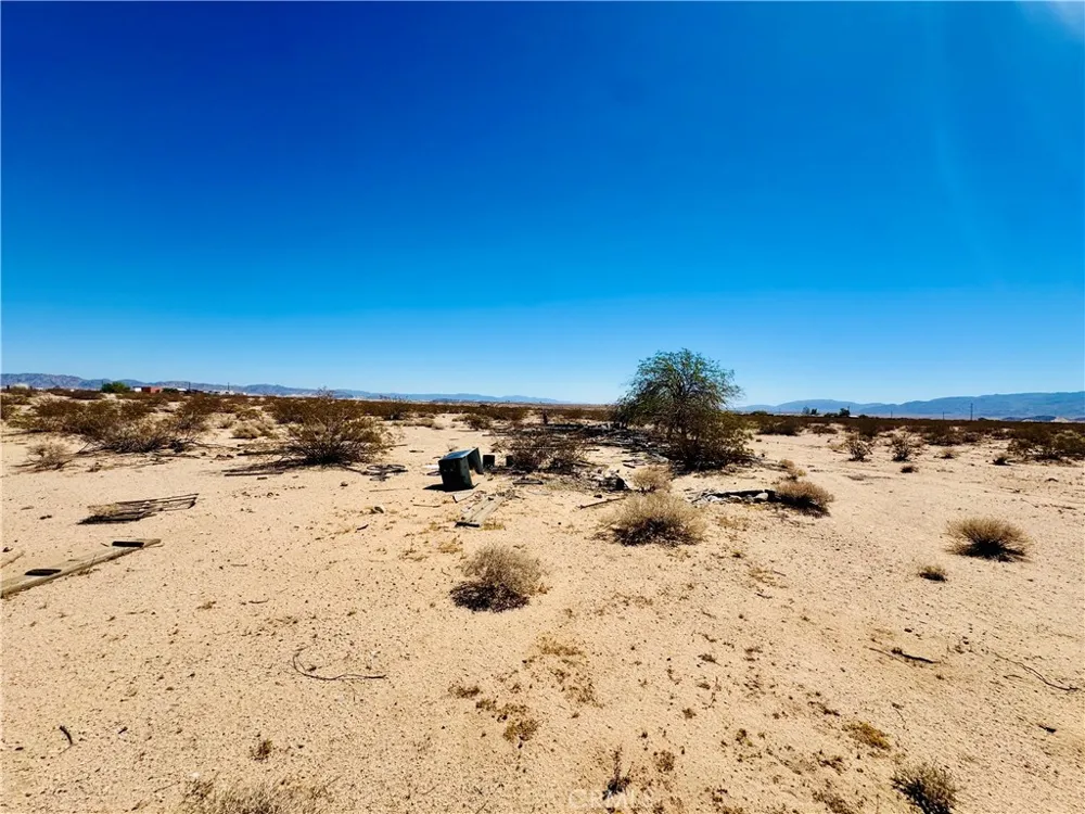 Mile square rd Joshua Tree, CA 92252