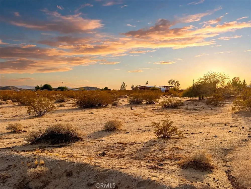 Mile square rd Joshua Tree, CA 92252