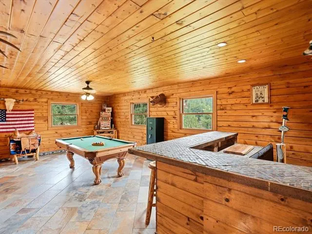 325 Road D Pine, CO 80470
