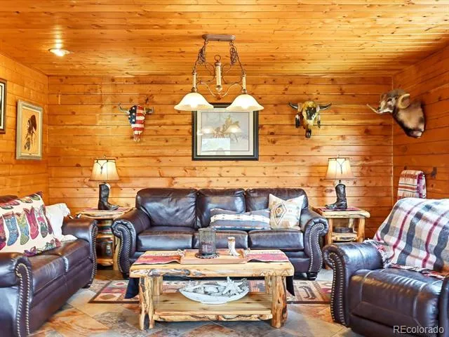 325 Road D Pine, CO 80470