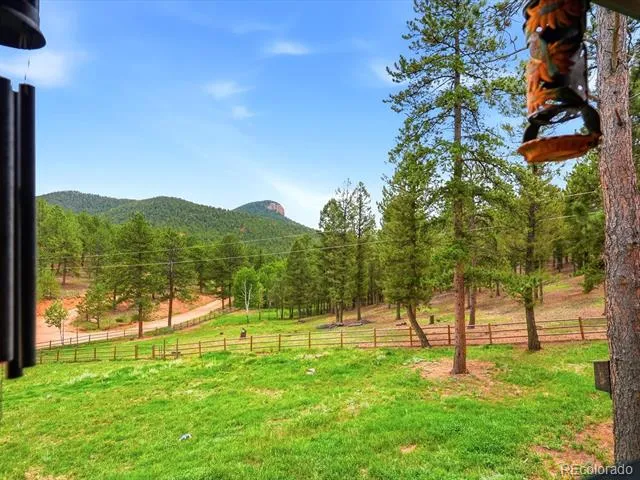 325 Road D Pine, CO 80470
