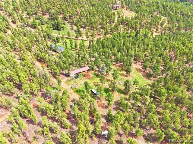 325 Road D Pine, CO 80470