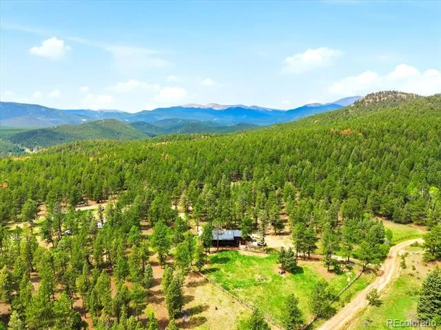 325 Road D Pine, CO 80470