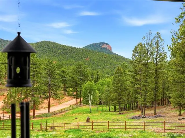325 Road D Pine, CO 80470