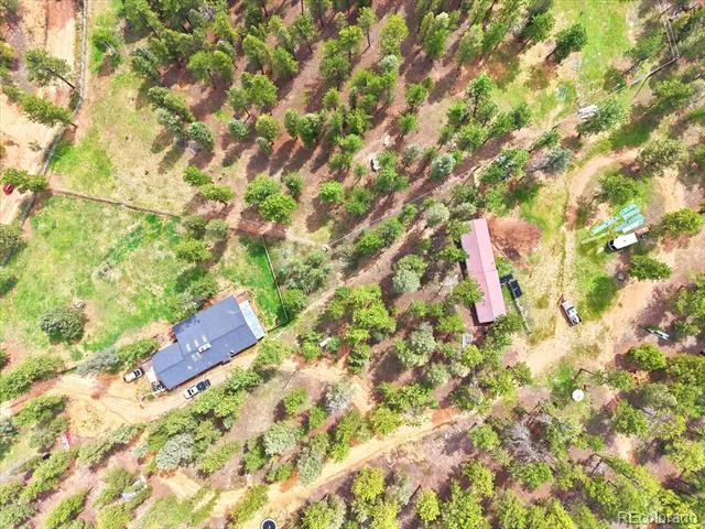 325 Road D Pine, CO 80470
