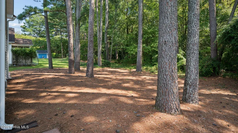 3706 Willow Run Drive Greenville, NC 27858