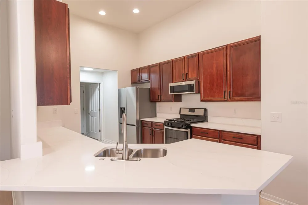1435 TAWNYBERRY COURT Trinity, FL 34655