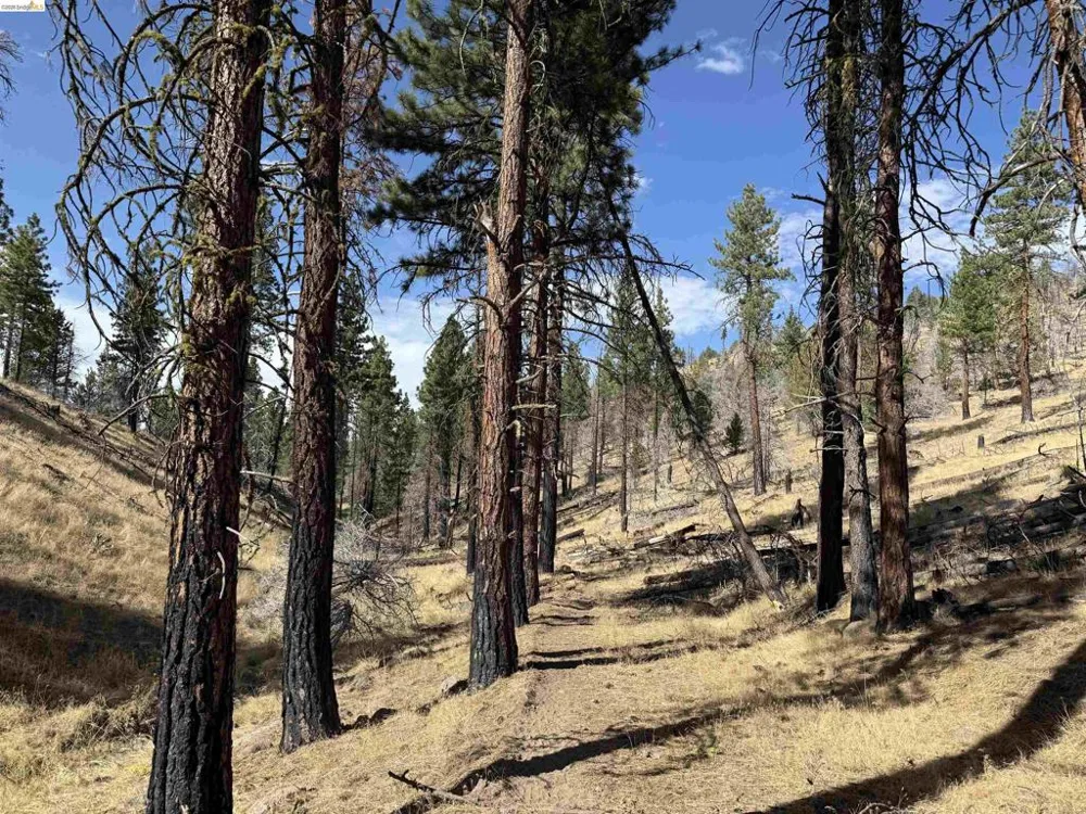 Butte Creek Rd Susanville, CA 96127