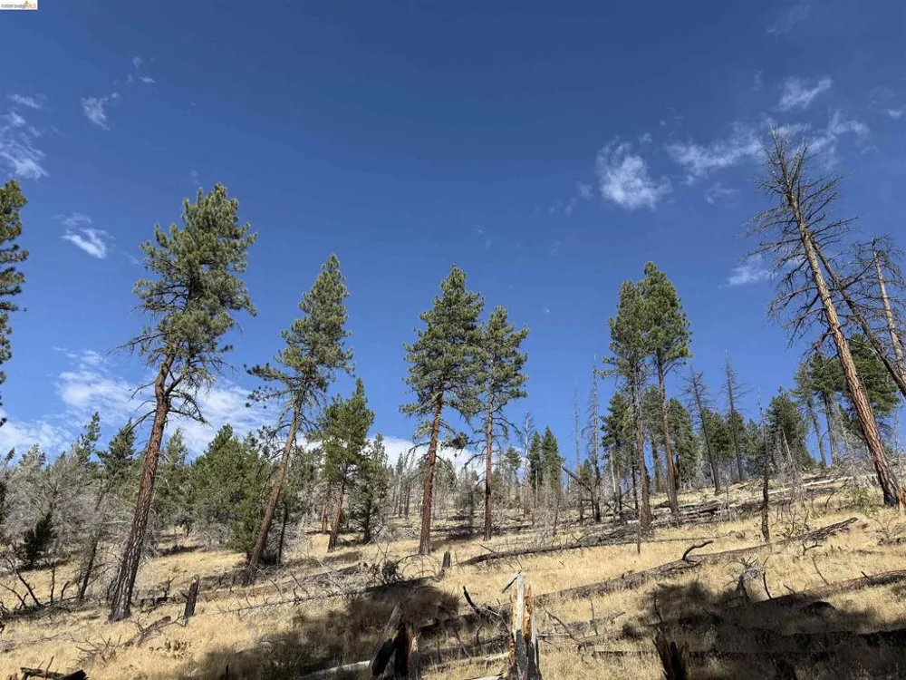 Butte Creek Rd Susanville, CA 96127