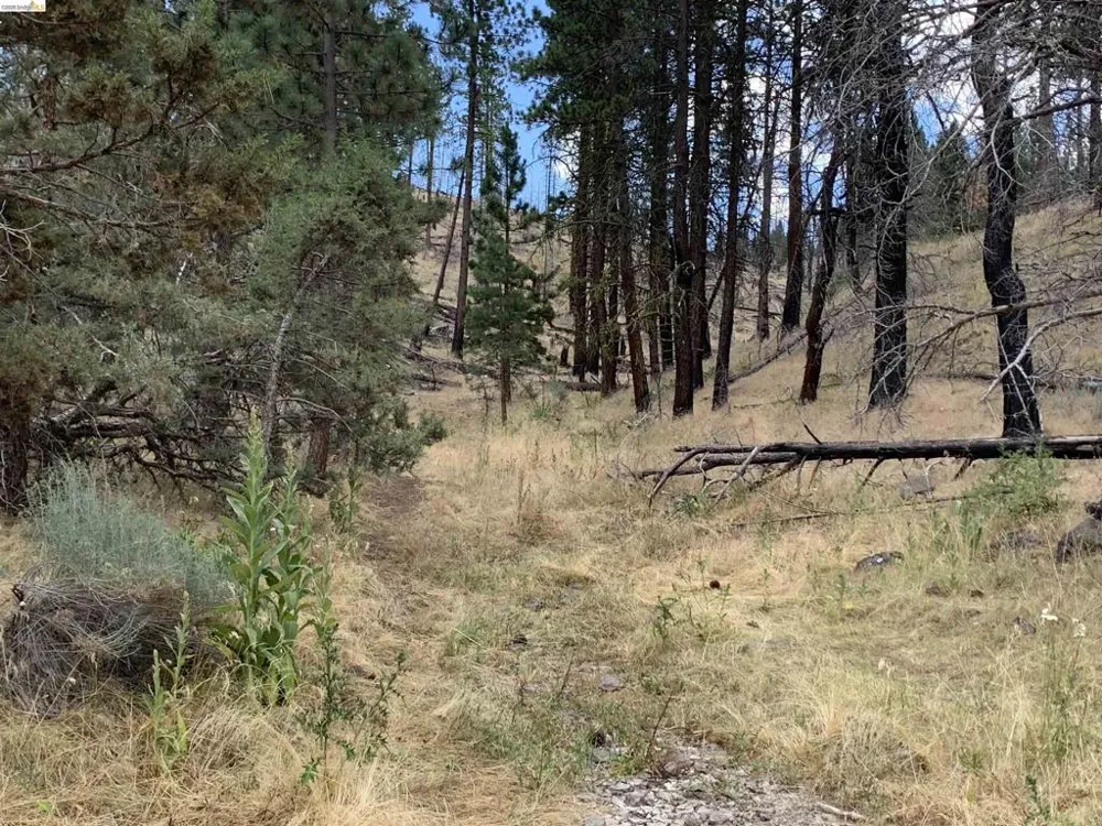 Butte Creek Rd Susanville, CA 96127