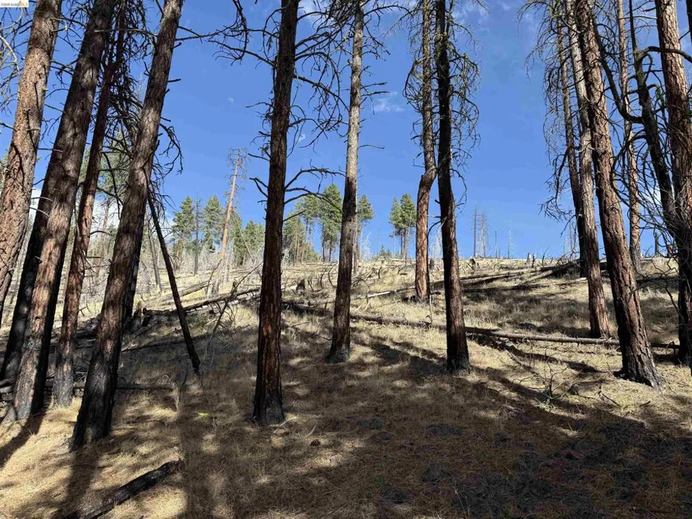 Butte Creek Rd Susanville, CA 96127