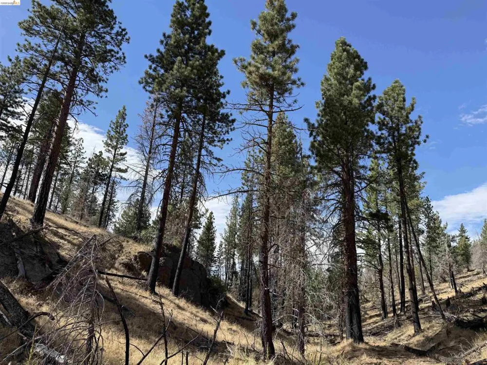 Butte Creek Rd Susanville, CA 96127