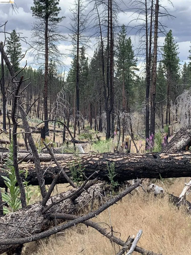 Butte Creek Rd Susanville, CA 96127