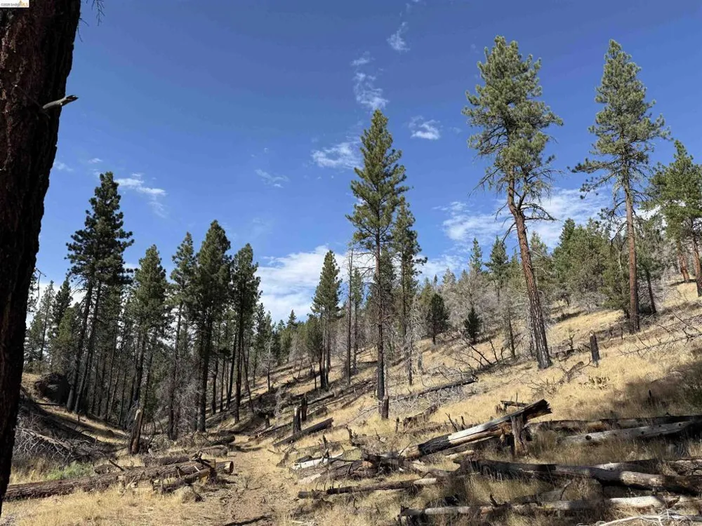 Butte Creek Rd Susanville, CA 96127