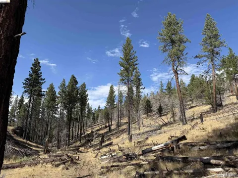 Butte Creek Rd