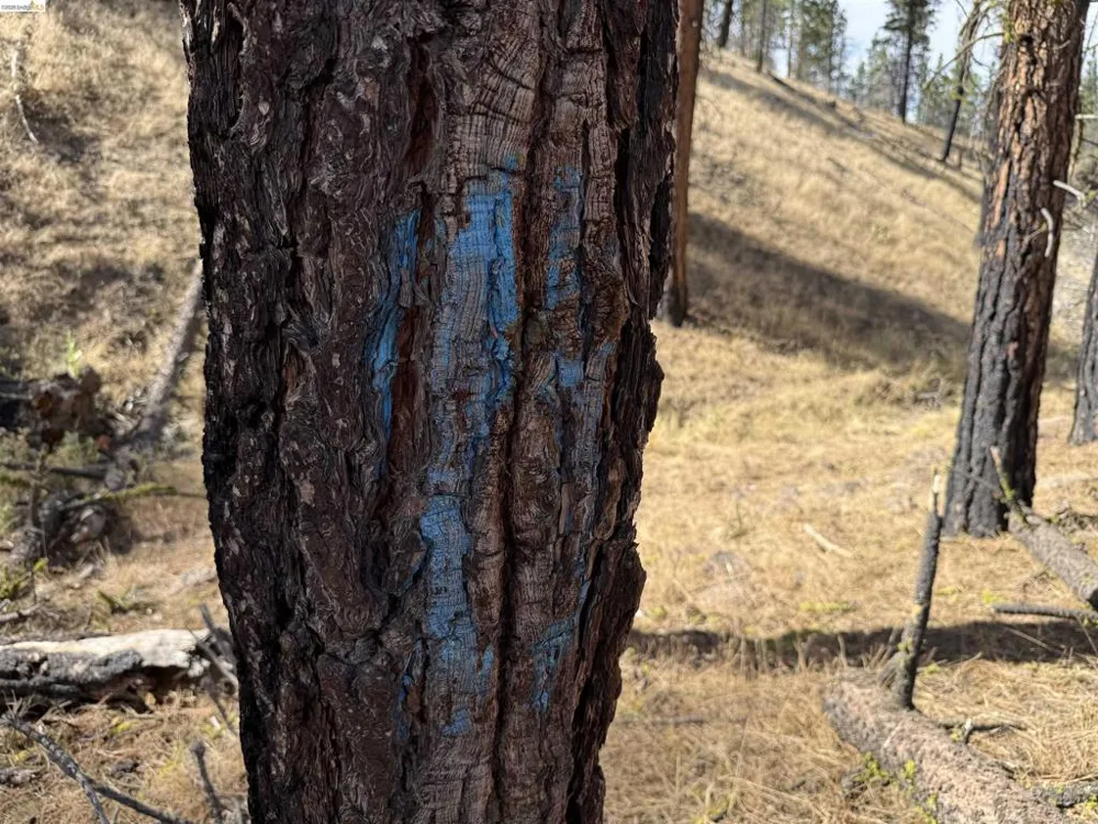 Butte Creek Rd Susanville, CA 96127