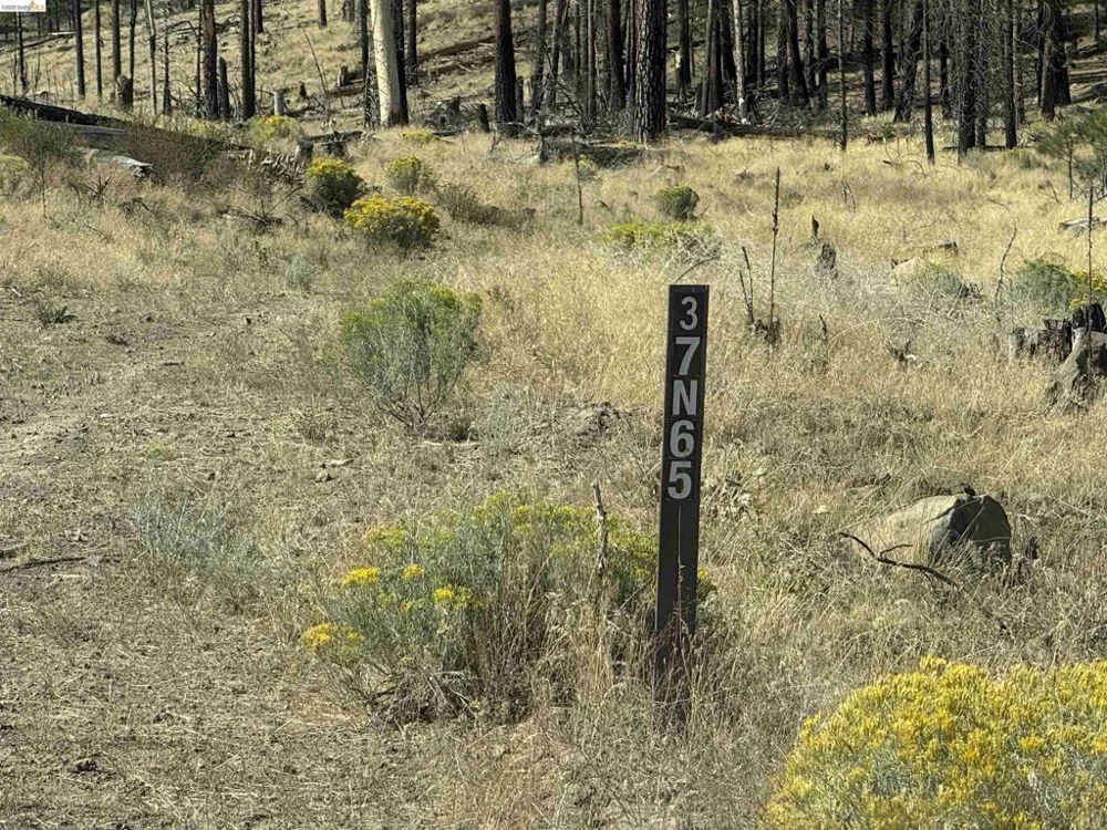 Butte Creek Rd Susanville, CA 96127