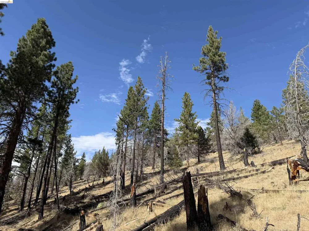 Butte Creek Rd Susanville, CA 96127